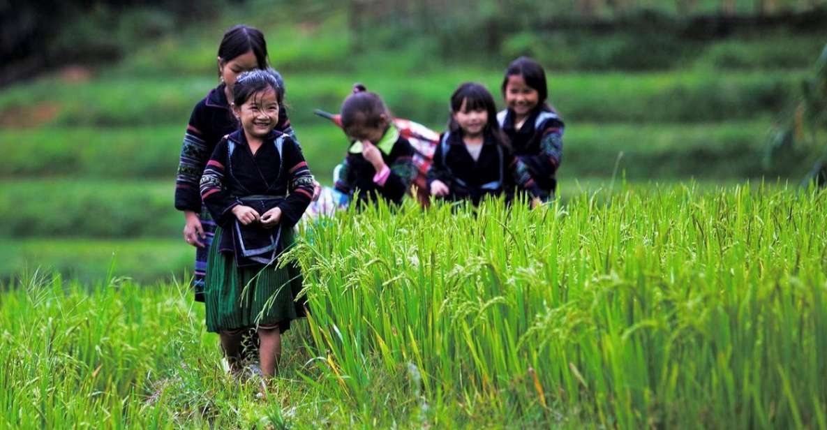 From Hanoi: 3-Day Sapa Trek With Guide, Homestay and Meals - Experience and Activities Highlights