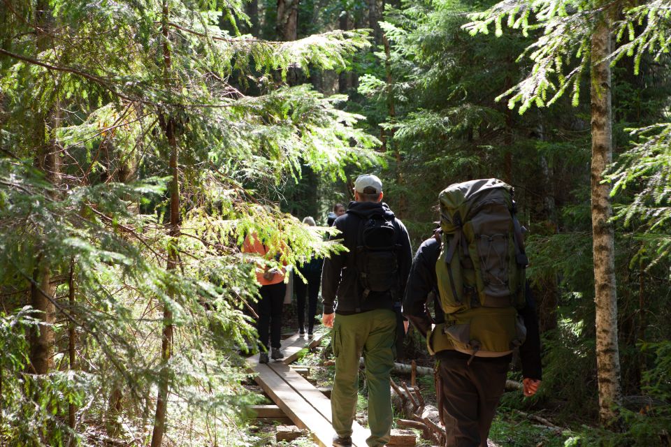 From Helsinki: Mushroom Hunting Tour in a National Park - Itinerary Highlights