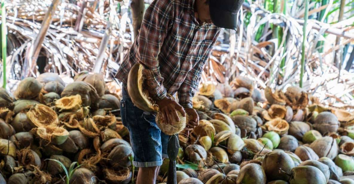 From Ho Chi Minh: Mekong Delta With Ben Tre 1 Day Tour - Tour Highlights