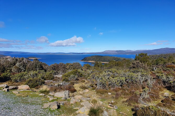 From Hobart: Great Lake and Untamed High Country Small Group Tour - Small Group Experience