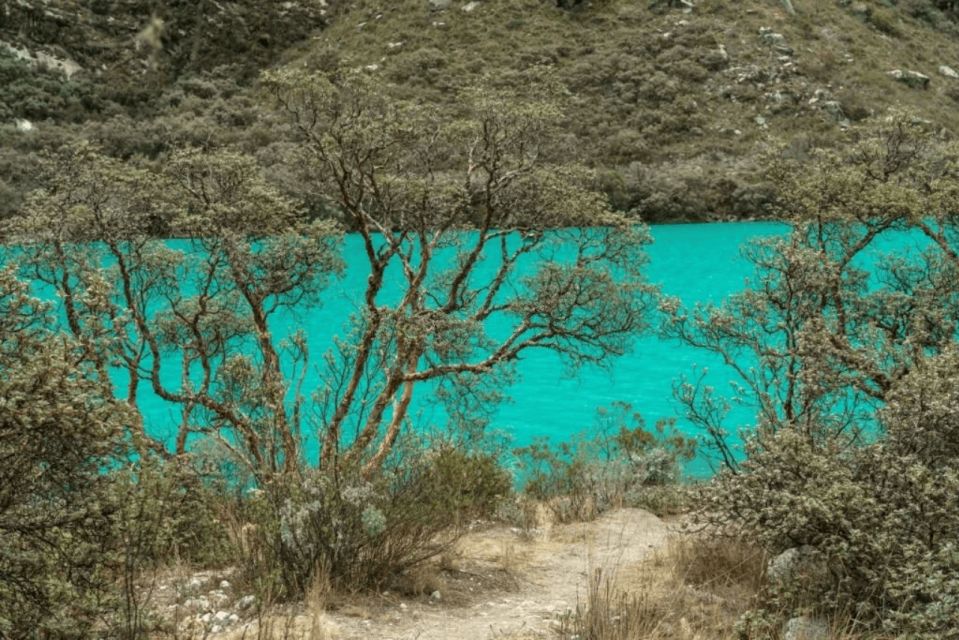 From Huaraz: Tour to Llanganuco Lakes (Chinancocha Lake) - Experience Highlights