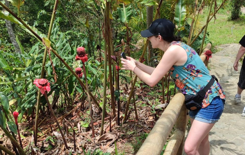 From Huatulco: Coffee and Mezcal Tour - Full Description