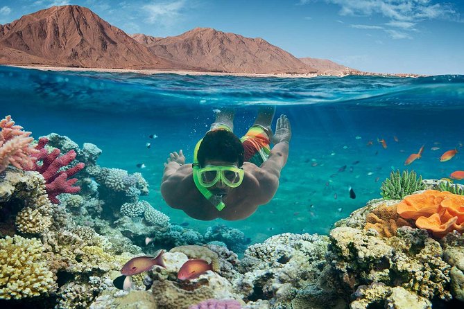 From Hurghada: Orange Bay Snorkeling Trip With Lunch - Booking Policies