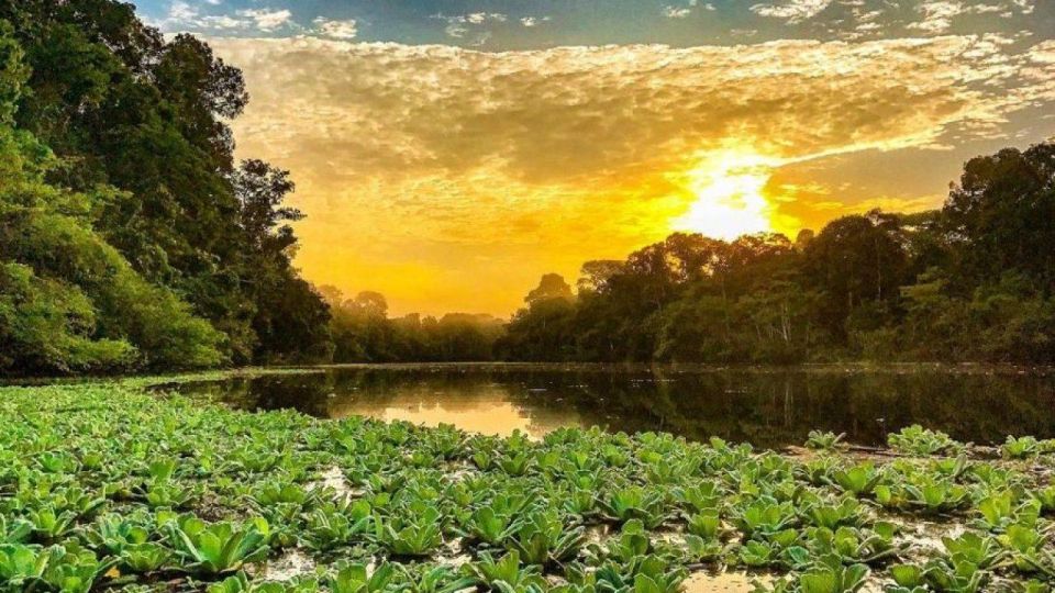 From Iquitos 4 Day Yanayacu River Tour With Bird Watching - Bird Watching Experience and Itinerary