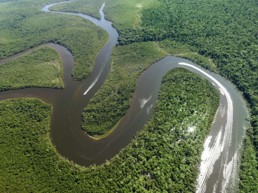 From Iquitos: Full Day Wonderful Wildlife - Jungle Adventure and Serpentarium Visit