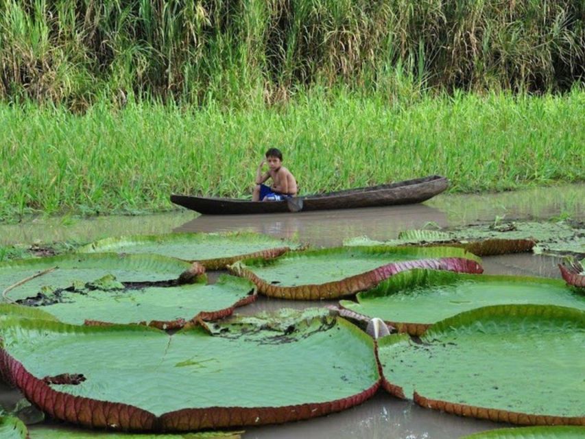 From Iquitos Navigate the Amazon River - Full Day - Experience Highlights