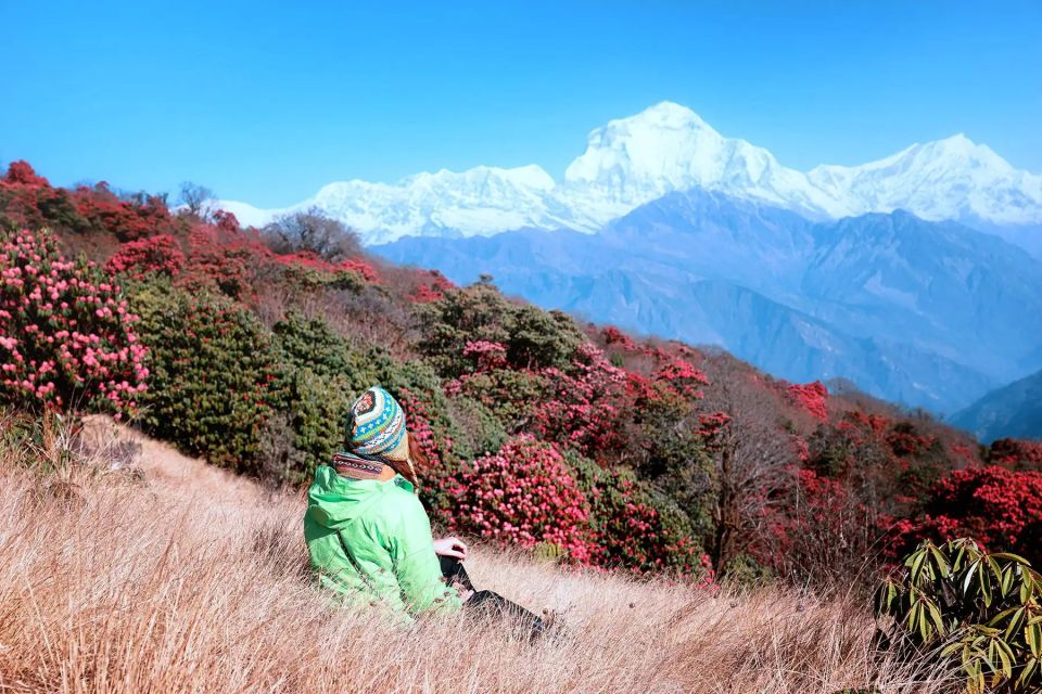 From Kathmandu: 6-Day Ghorepani, Poon Hill and Ghandruk Trek - Experience Stunning Sunrise at Poon Hill