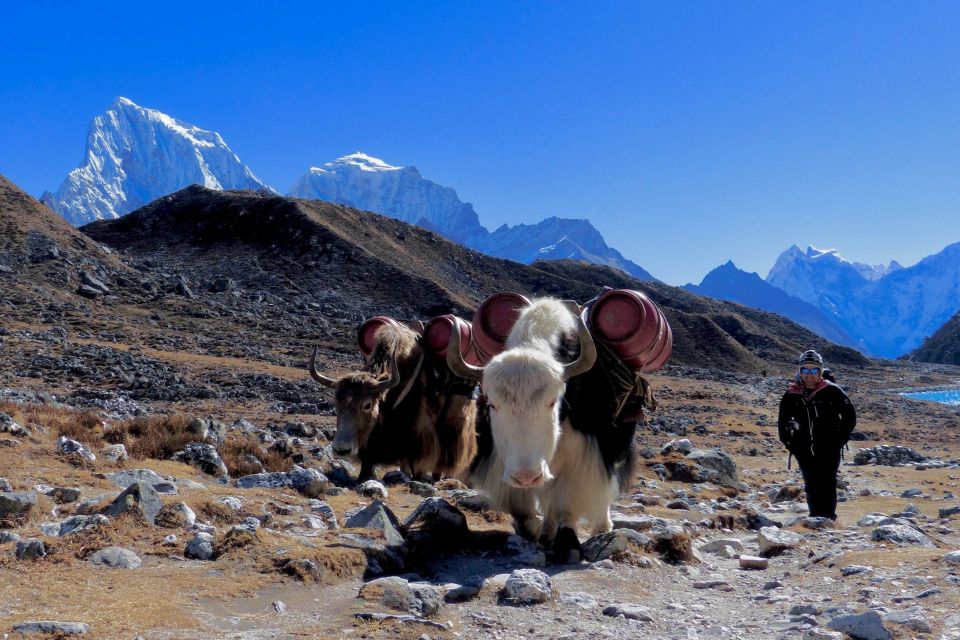 From Kathmandu : Gay and Lesbian Trek to Everest Base Camp - Multilingual Guides and Transportation Details