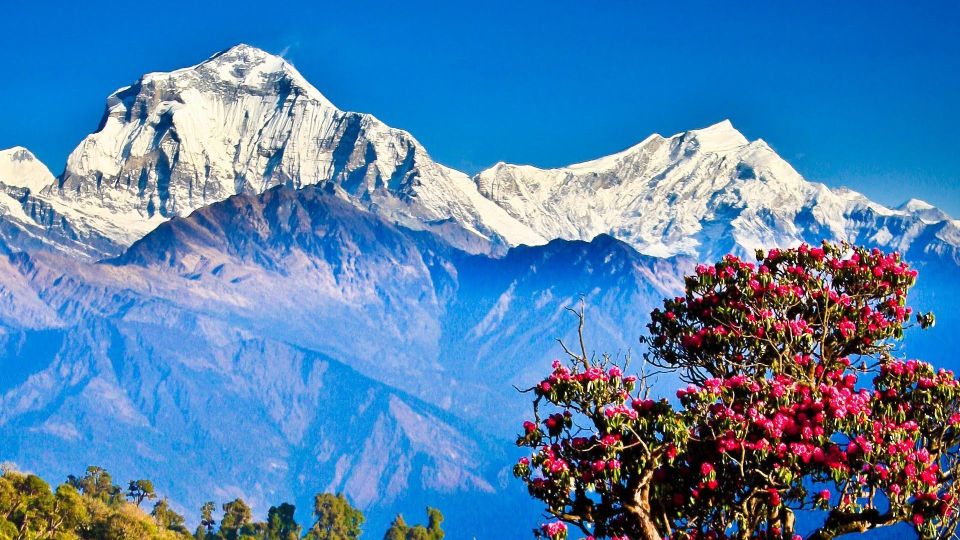From Kathmandu: Goorepani Poonhill Trekking Trip - Experience Highlights