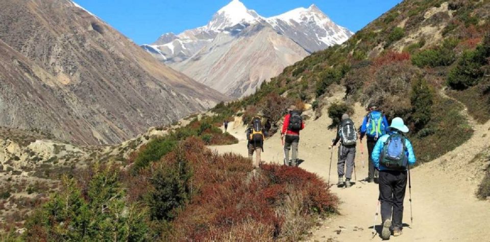 From Kathmandu/Pokhara: 9-Day Annapurna Circuit Trek - Experience Highlights of the Trek