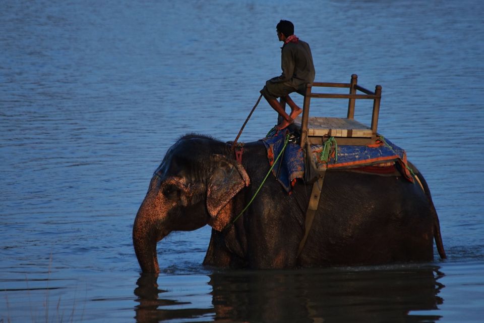 From Kathmandu: Trishuli River Rafting With Chitwan Tour - Activities and Experiences