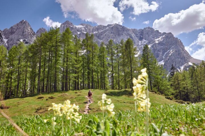 From Kranjska Gora: Julian Alps Guided Full-Day Tour - Experience Highlights