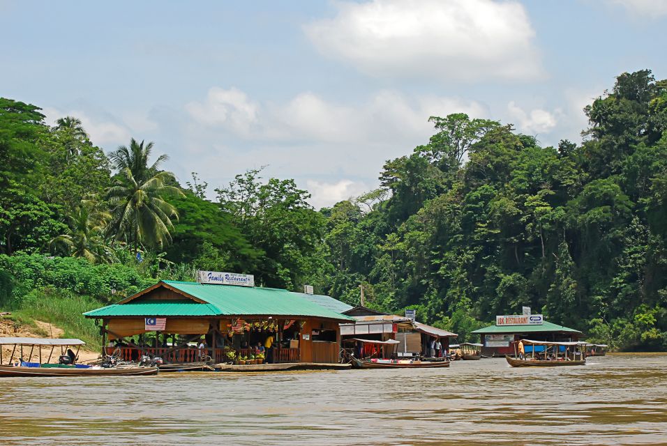 From Kuala Lumpur: Taman Negara National Park Day Tour - Pickup Details and Group Size