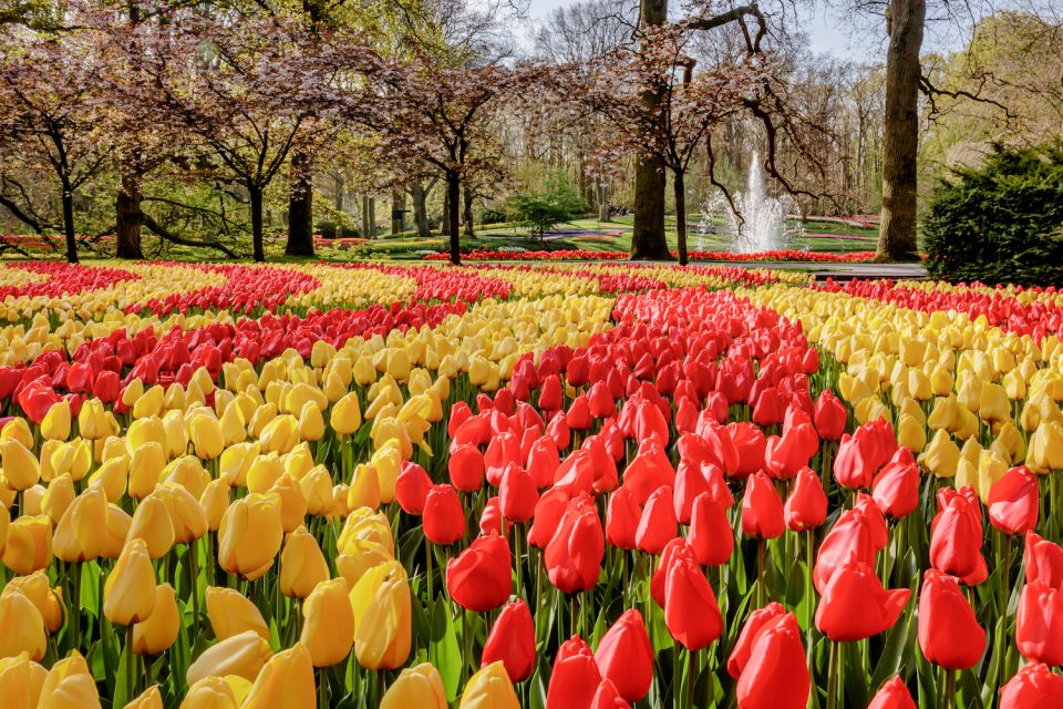 From Leiden Central: Keukenhof Ticket & Public Bus Transfer - Experience at Keukenhof