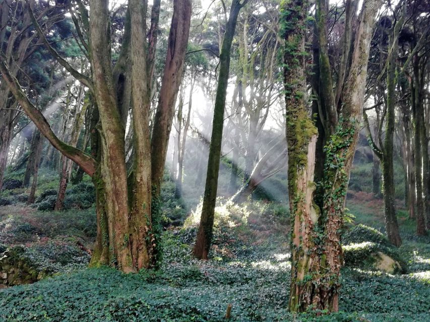 From Lisbon: Half-Day Private Tour to Sintra Village - Experience Highlights