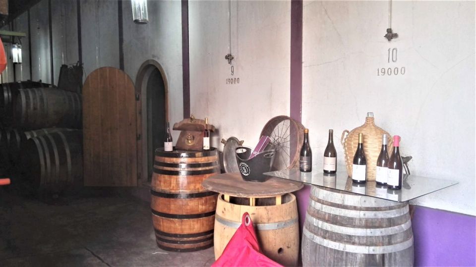 From Lisbon: Palmela Wine Tasting Tour With Snacks - Wine Tasting Experience
