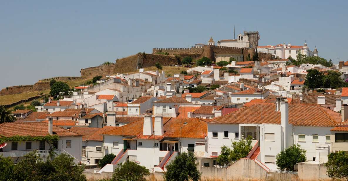 From Lisbon: Private Customized Small-Group Tour to Evora - Payment Options and Availability