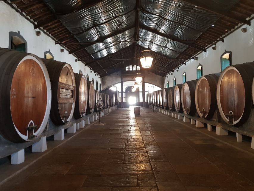 From Lisbon: Sintra Wine Experience - Itinerary Highlights