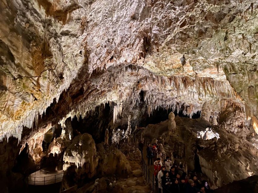 From Ljubljana: Postojna Cave Day Trip - Tour Description