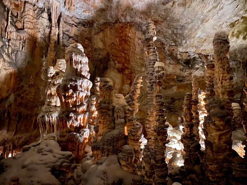 From Ljubljana: Postojna Cave Day Trip - Tour Highlights Overview
