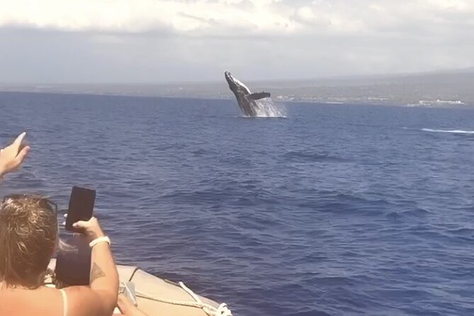 From Maalaea Harbor: Whale Watching Tours Aboard Winona Catamaran - Participant Information