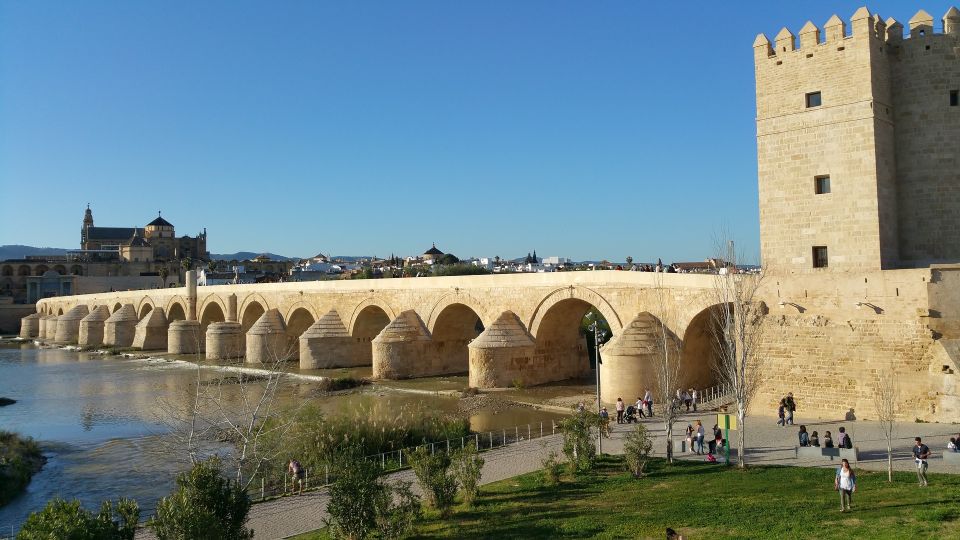 From Malaga: Private Guided Walking Tour of Córdoba - Experience Highlights