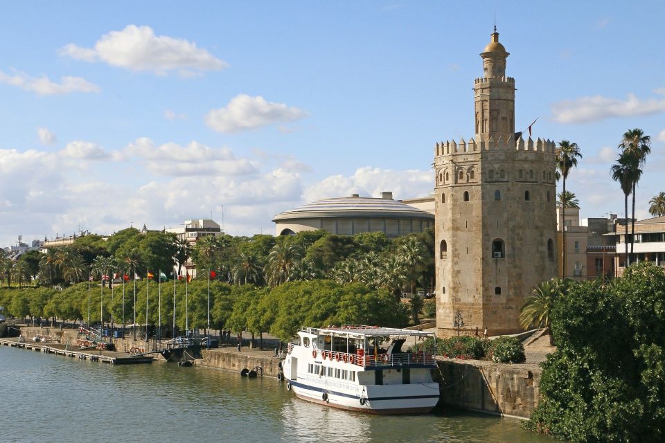 From Malaga: Seville Private Tour With Alcazar and Cathedral - Tour Experience Highlights
