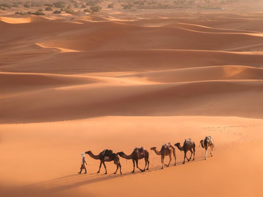 From Marrakech: 3-Day Merzouga and Sahara Desert Tour - Booking and Reservation Information