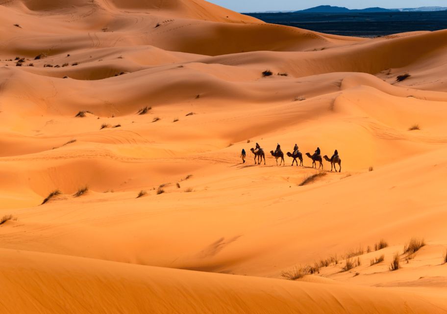 From Marrakech: 3-Day Sahara Desert Tour - Tour Highlights