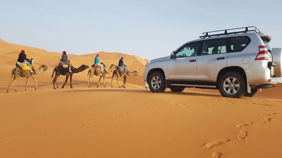 From Marrakech : 3 Days Camel Trek to Chegaga - Experience Highlights