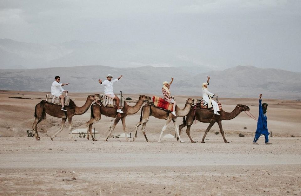 From Marrakech: Agafay Desert Sunset Camel Ride - Experience Highlights