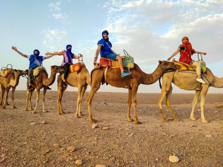 From Marrakech: Agafay Desert Tour With Dinner & Camal Ride - Activity Description