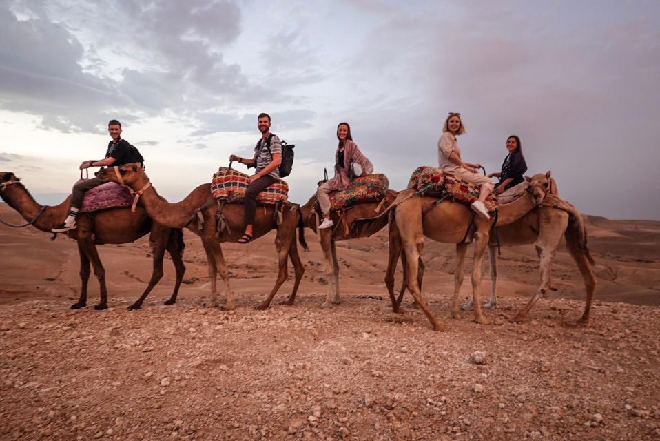 From Marrakech: Agafay Dinner & Quad Bike and Camel Ride - Trip Highlights to Anticipate