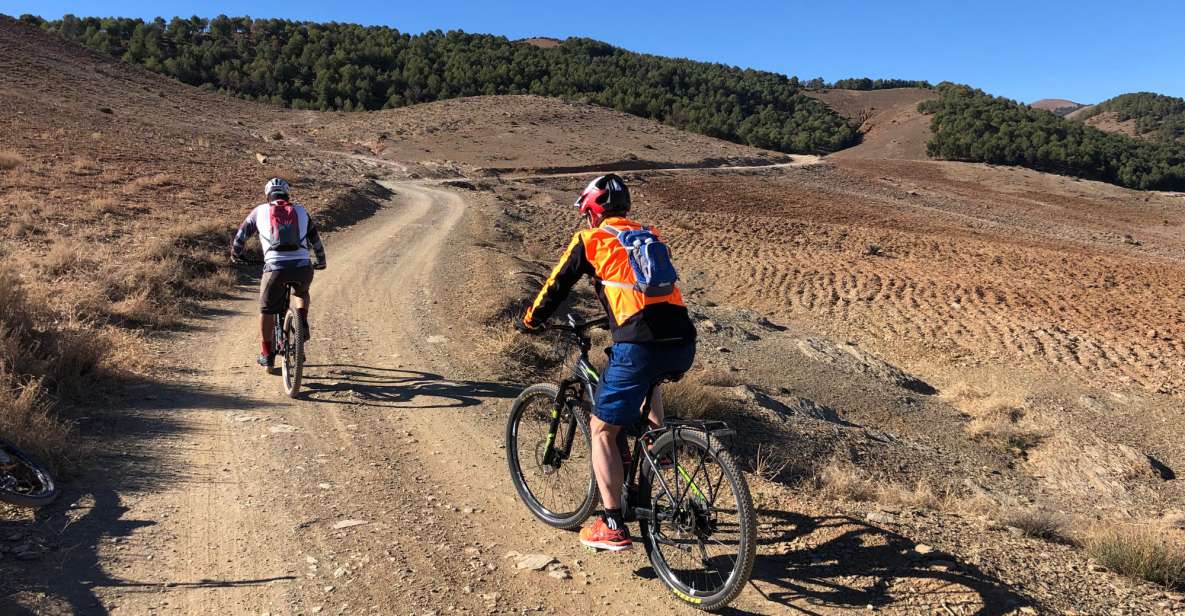 From Marrakech: Atlas Mountain and Berber Village Bike Trip - Experience Highlights