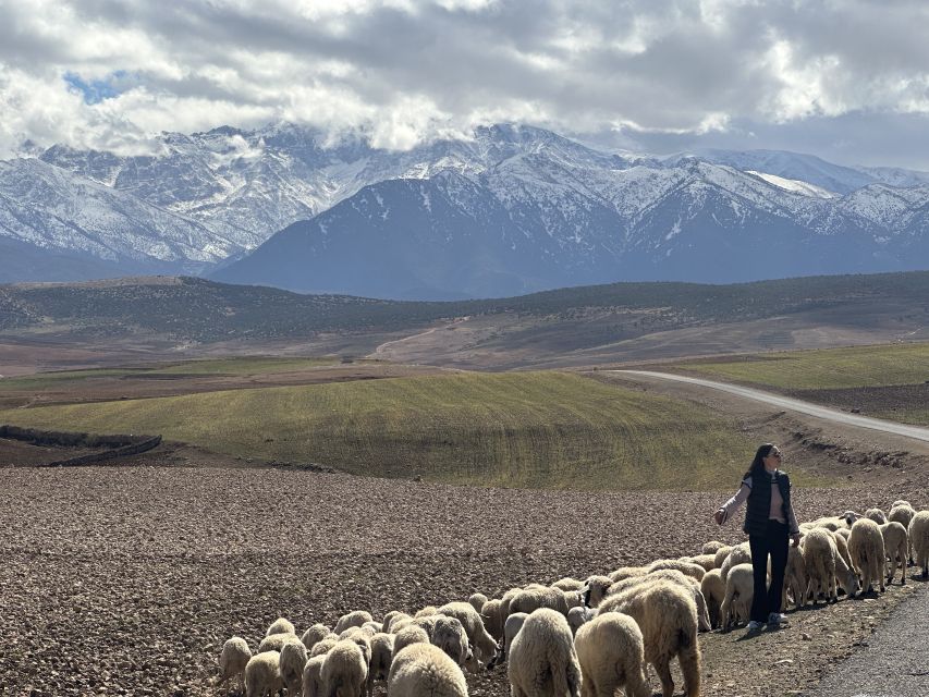 From Marrakech: Atlas Mountains 4-Day Hike With Hotels - Experience Highlights