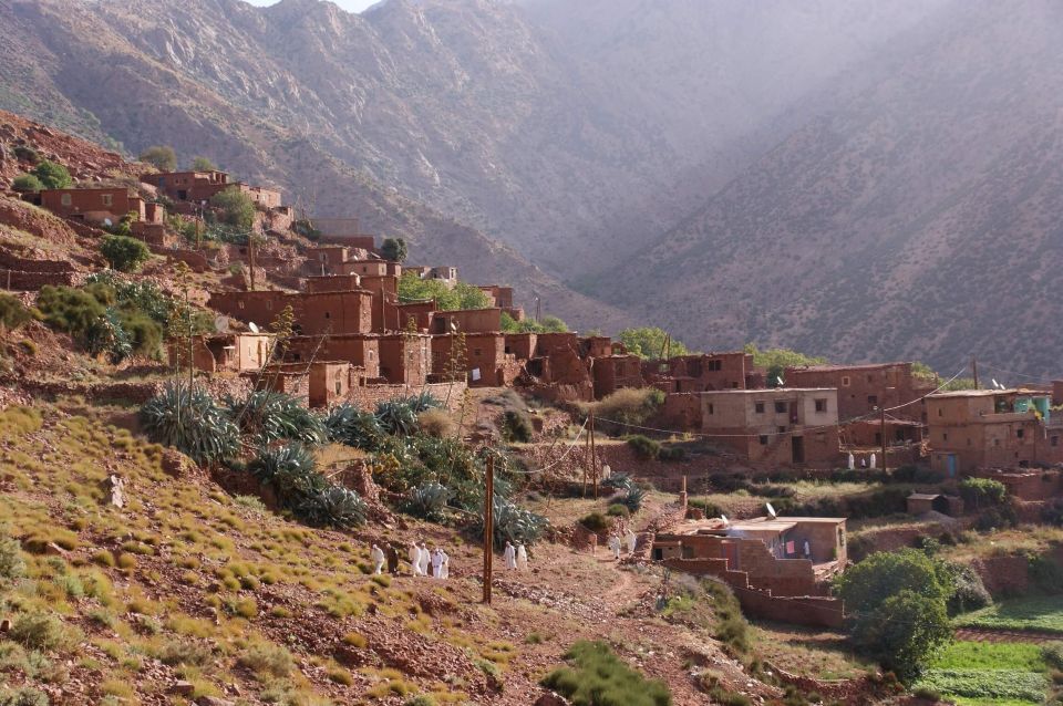 From Marrakech: Atlas Mountains 45-Minute Horseback Ride - Review Summary