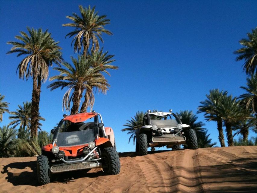 From Marrakech : Buggy Ride in the Palm Groves - Booking Information Overview