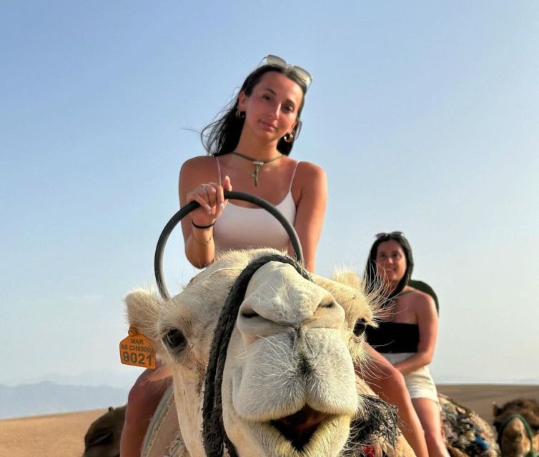From Marrakech: Camel in Agafay Desert - Discover Local Life on Camelback
