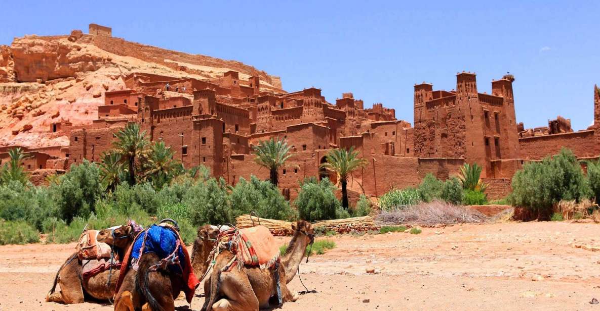 From Marrakech : Day Trip to Ait Benhaddou and Ouarzazate - Itinerary and Experience