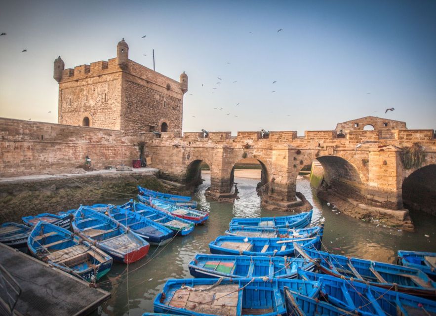 From Marrakech: Day Trip to Essaouira - Highlights of the Trip