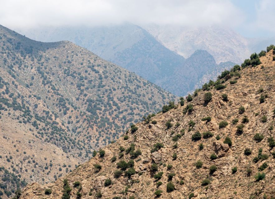 From Marrakech: Day Trip to Ourika Valley - Highlights of the Trip