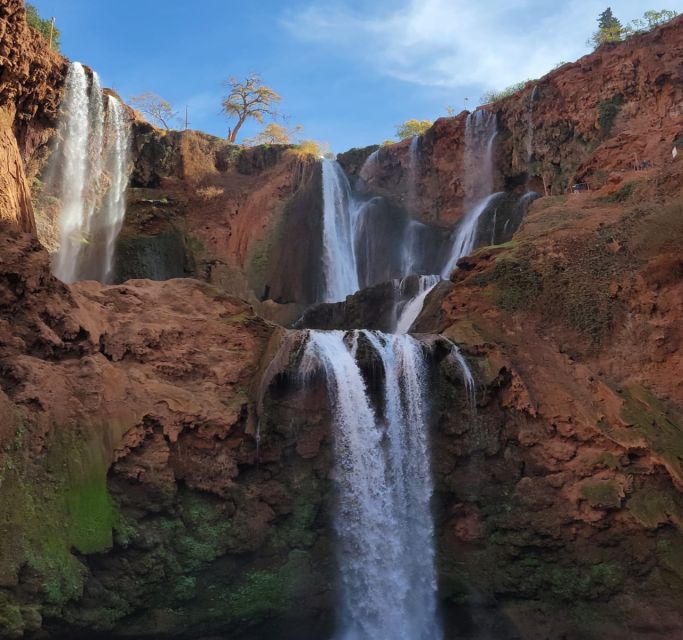 From Marrakech: Day Trip to Ouzoud Waterfalls - Trip Highlights