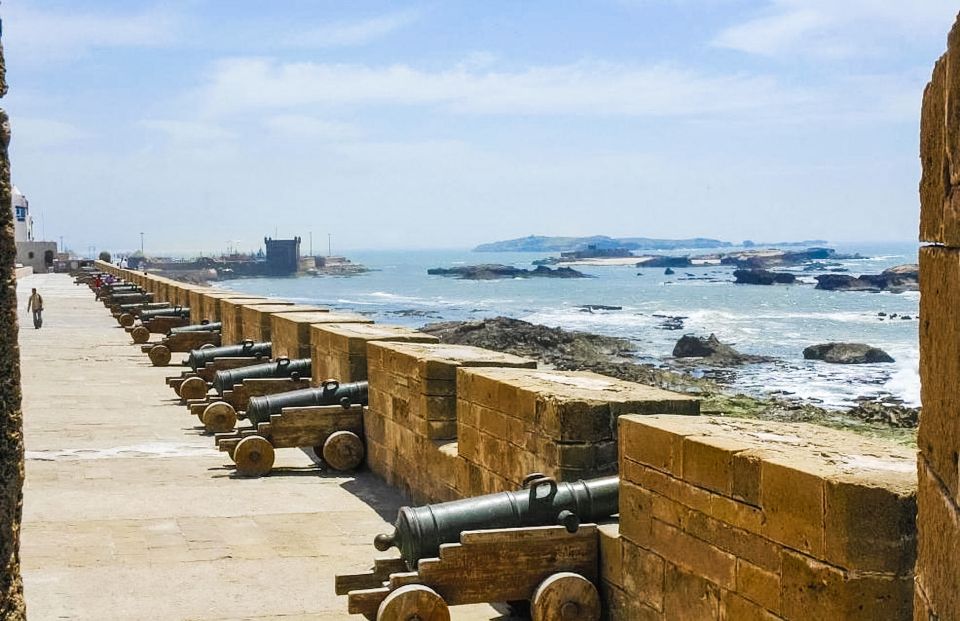 From Marrakech: Essaouira Full-Day Trip - Activity Highlights