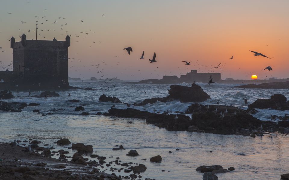 From Marrakech: Full-Day Private Trip to Essaouira - Experience Highlights