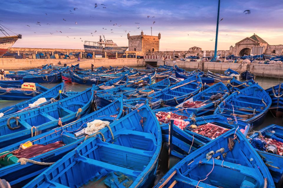 From Marrakech: Full-Day Trip To Essaouira by Van - Transportation and Pickup Information