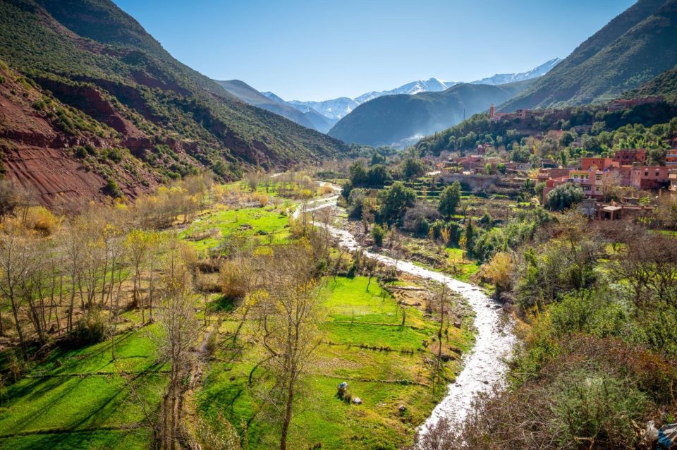 From Marrakech: Guided Full-Day Trip to Ourika Valley - Experience Highlights