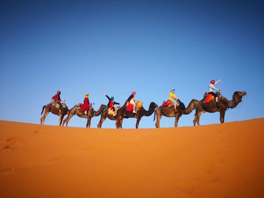 From Marrakech: Merzouga 3-Days Desert Safari With Food - Experience Highlights