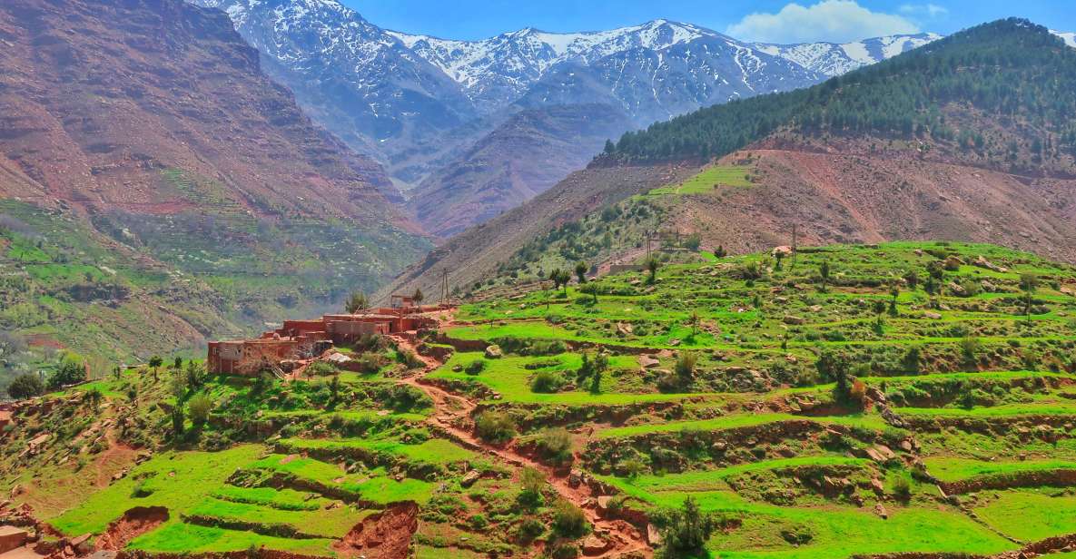 From Marrakech: Private Atlas Mountains Day Trip - Experience Highlights in the Atlas Mountains