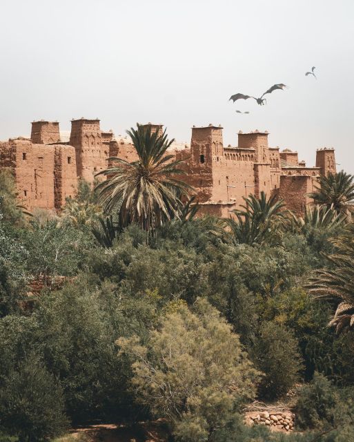 From Marrakech To Fez : Best Desert Adventure 3-Day - Duration and Language Support