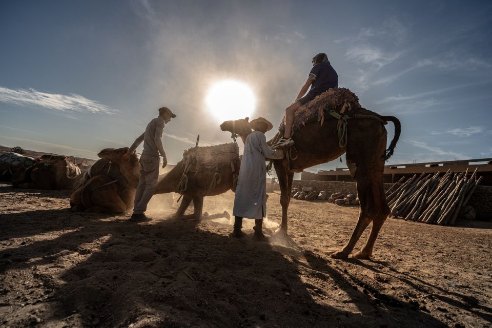 From Marrakech: VIP Agafay Desert & Oasis Camel Experience - Booking Details and Logistics